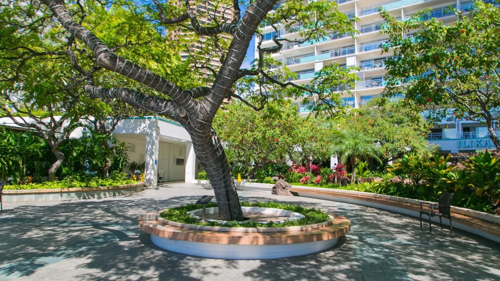 Ilikai Tower 1533 Yacht Harbor View 1Br Apartment Honolulu United States